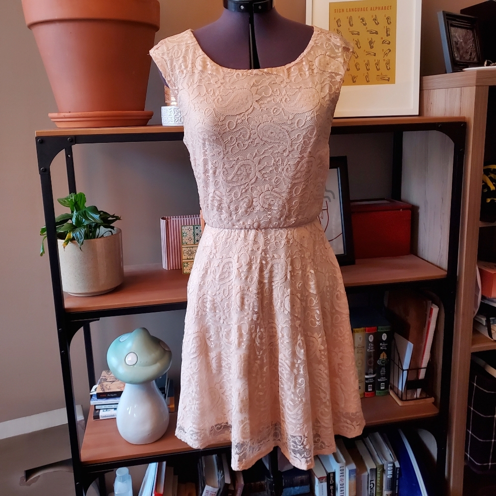 Streetwear Society Blush Lace Dress Sz. SM